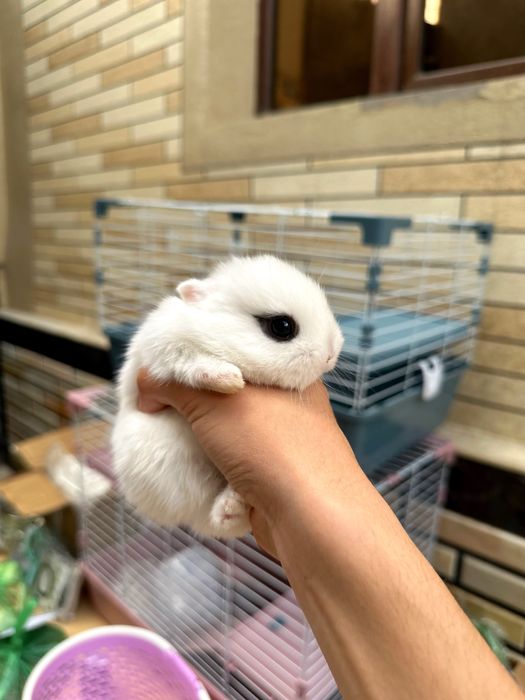 Mehr ko‘rgan bola mehr beradi