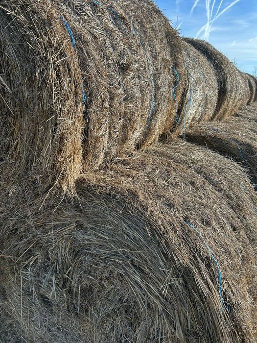 De vânzare Baloti de fân