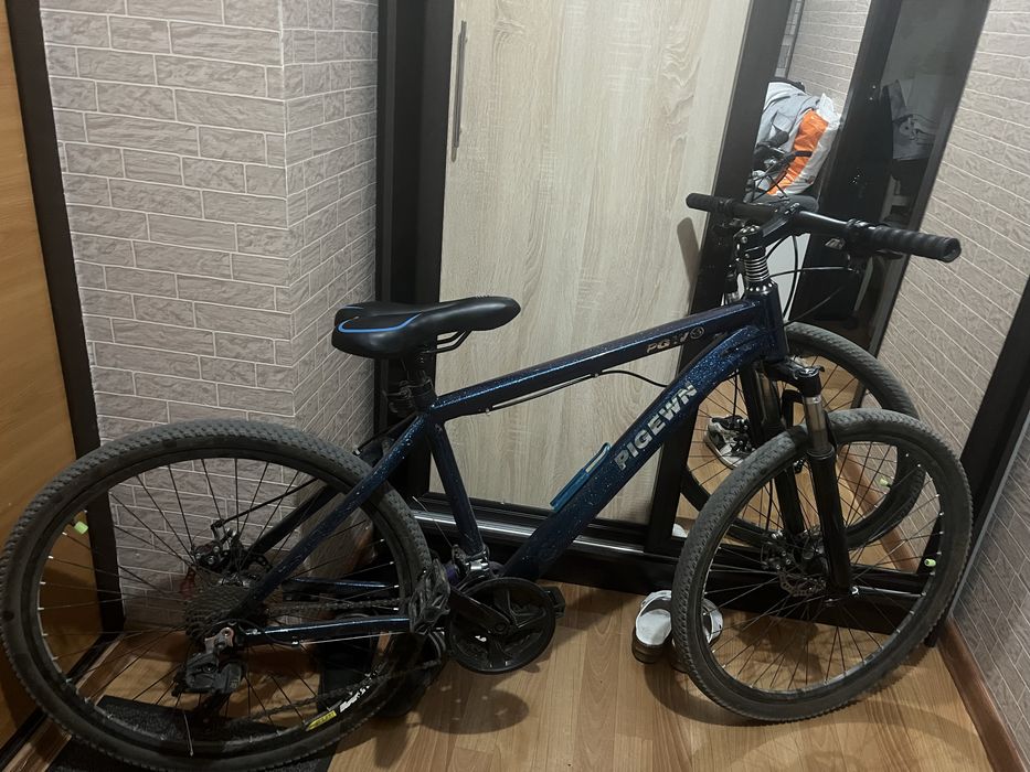 Велосипед PIGEWN