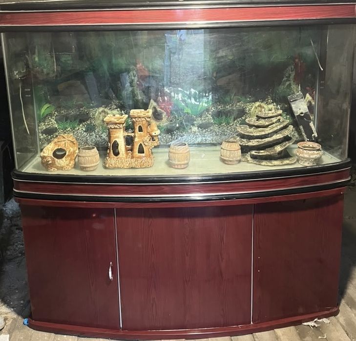 Продаю аквариумм