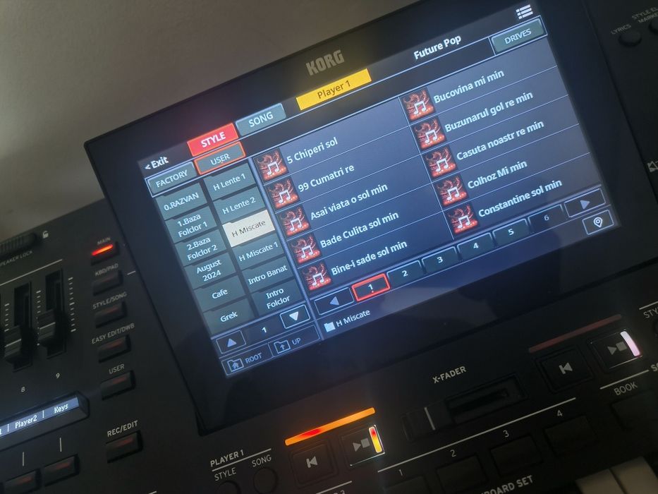 Set pentru Korg pa5x