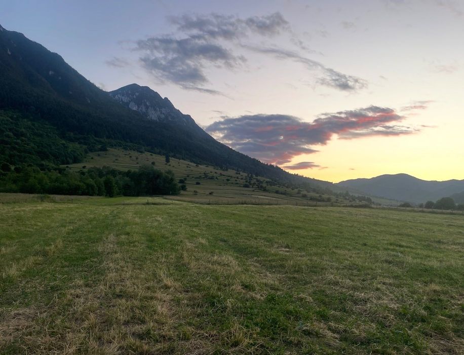 Teren intravilan 1000 mp zona Plaiul Foii cu PUZ și utilități