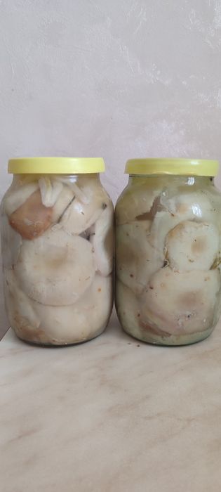 Продаю грибы соленные грузди и маслята по 4000 за 1литр