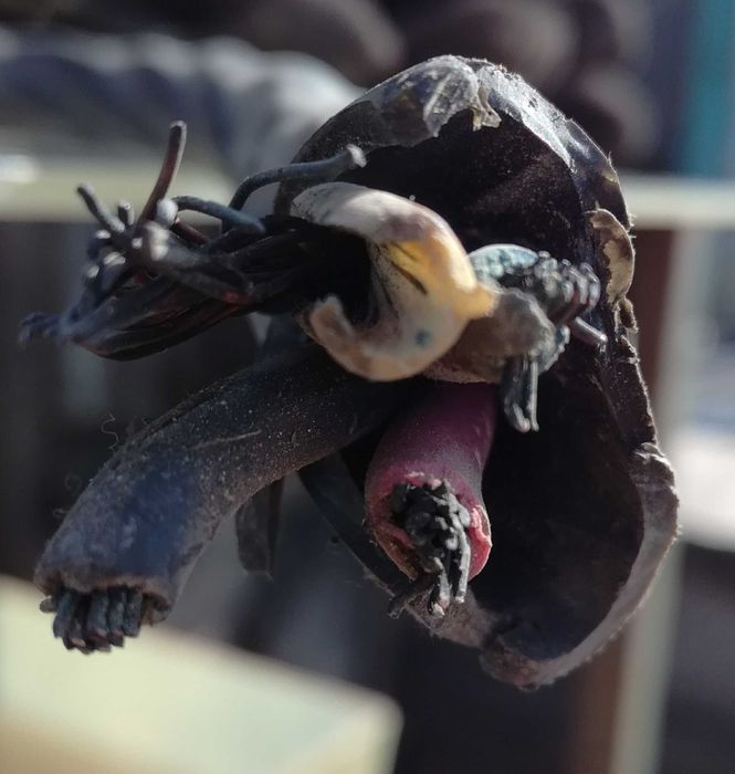 Кабель медный четырёхжильный