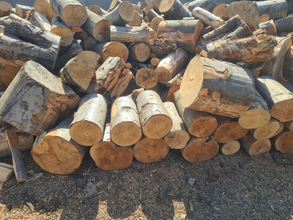 Deseuri si Lemn de foc ,FAG SI STEJAR, sparte.