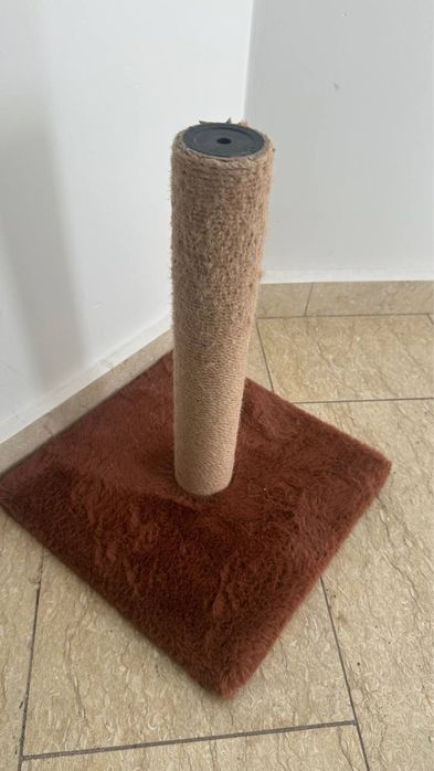 Драскалки и къщички за котки