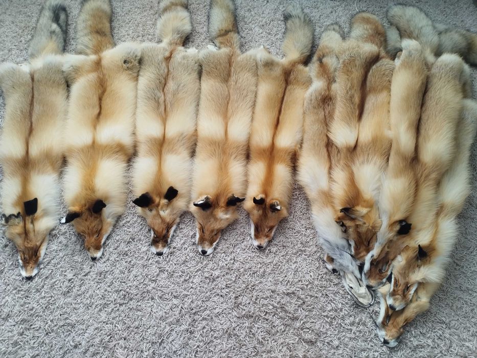 Шкуры натуральные