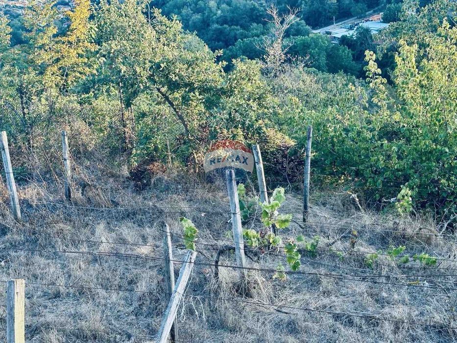 Продава се Парцел в Балчик - 2096 кв.м за 0 €/кв.м - Снимка #7