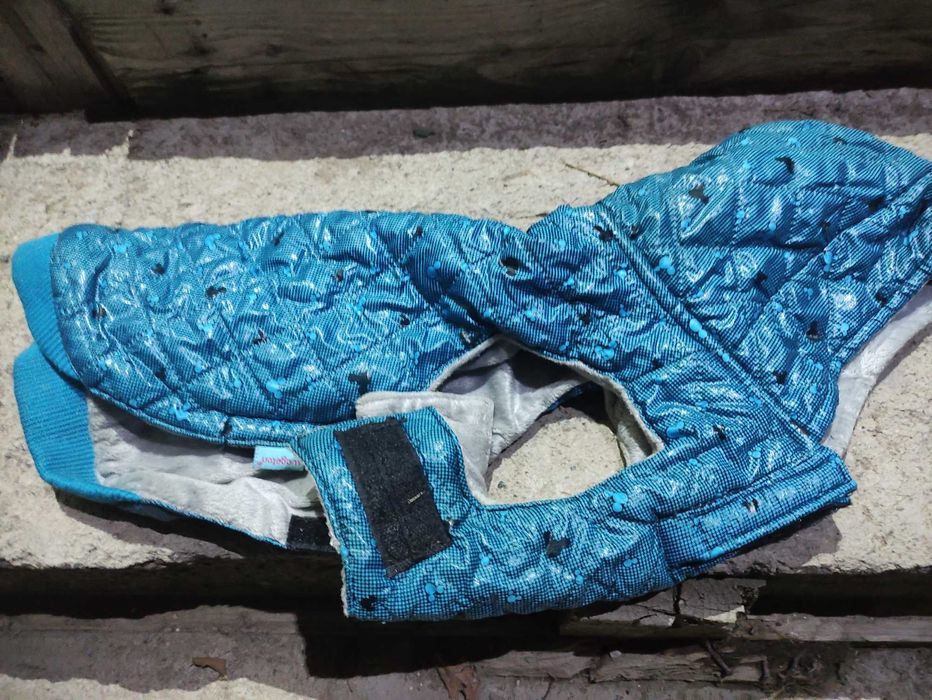 Продам одежду для таксы