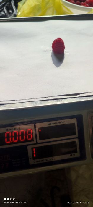 Малина заказ malina zakaz