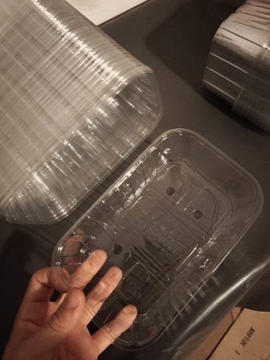 Caserole fructe 250 g si 500 g