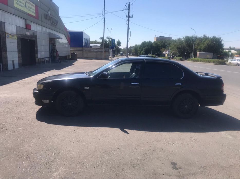 Көптеген фотосуреттер спермы писка