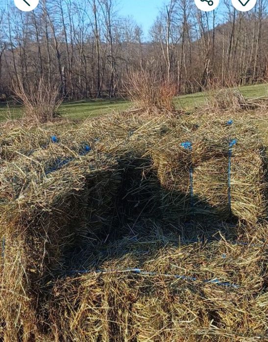 Baloti da fan  si otava dreptunghiular