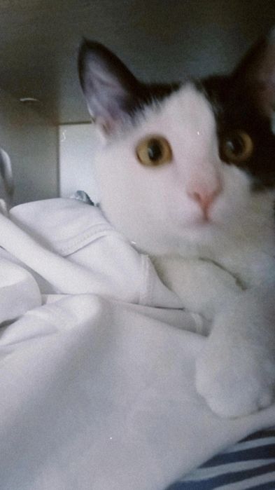 27апреля одам в хороших рук