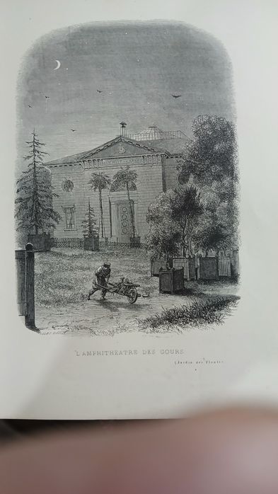 Кнтжные гравюры Ботанический сад