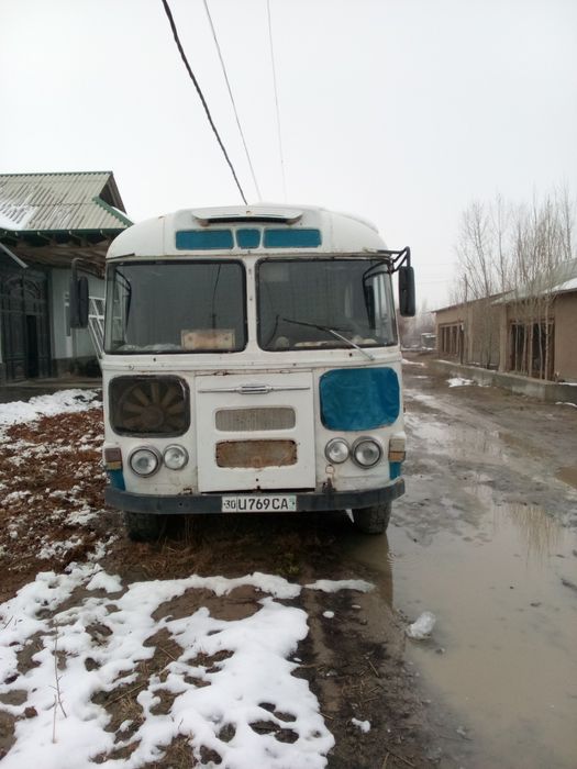 Pingvin yuk avtobusi