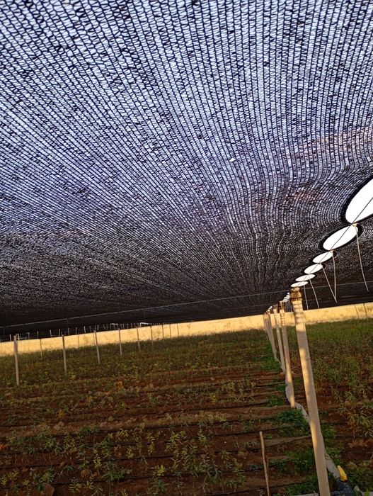 Куйошдан сакловси сеткалар