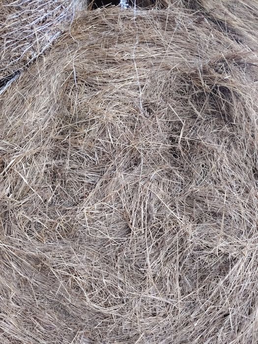 Vând baloti de fan rotunzi.