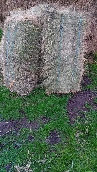 Baloți  de lucernă