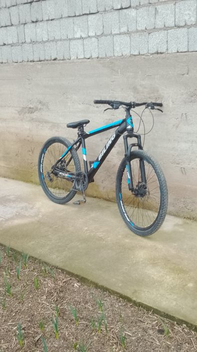 Belling, көк кара