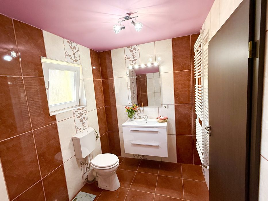 Proprietar-Casa individuala 3 dormitoare Giroc-Vatra satului