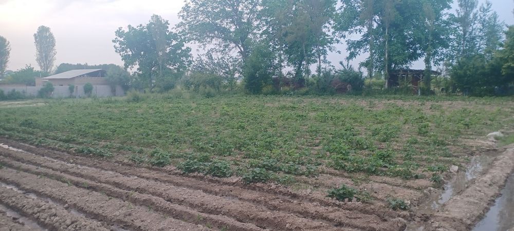 Uy joy sotiladi 22 sotih