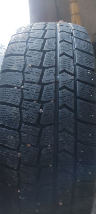 Один балон 195/65/15