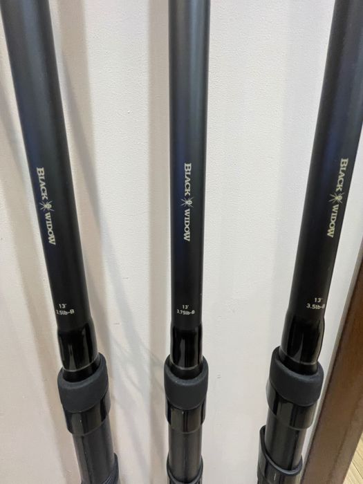 Daiwa black widow 13ft 3.5lb