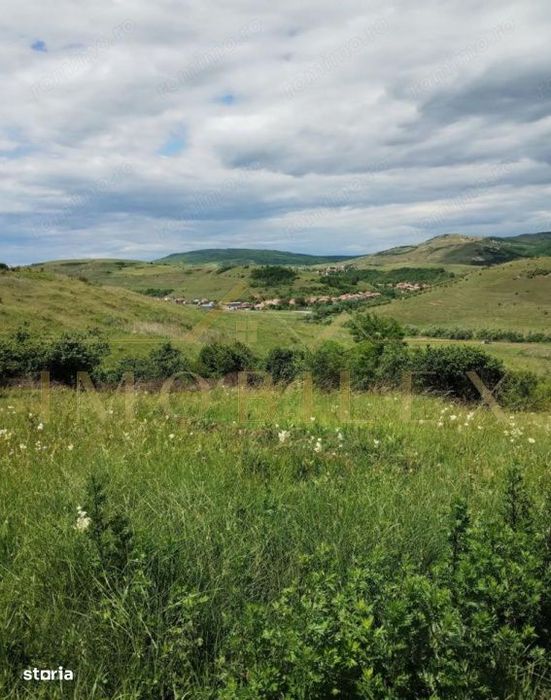 Teren intravilan 2.200 mp | Radaia – Baciu | Panorama superba