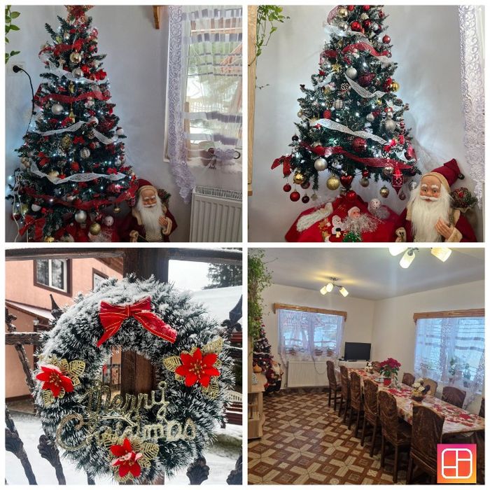 Cazare Arieseni Pensiunea Nicoleta