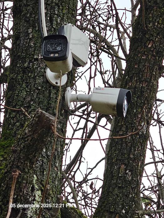 Casa modernizata in Campulung Muscel,padure proprie, toate utilitatile