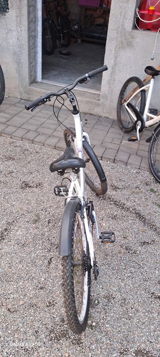 Bicicleta  dama  detali la tel