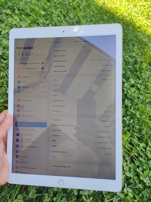 Apple iPad pro 128 гб (12.9 дюймовый) LL/A Америка