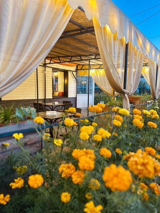 Продаётся кафе "Жар-Пицца"