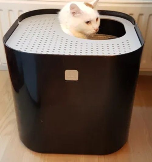 Litiera neagra Modkat