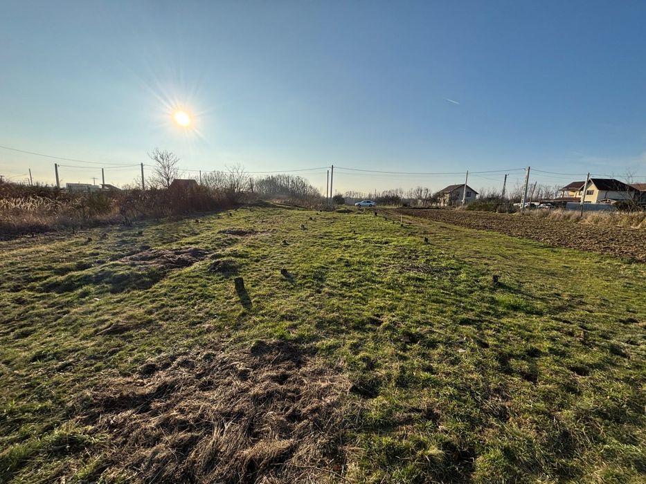 Vând Teren Moșoaia.