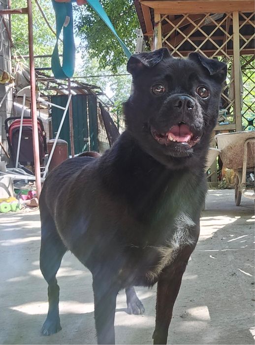 Лия ищет любящую семью!