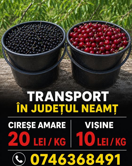 Cireșe negre amare și vișine
