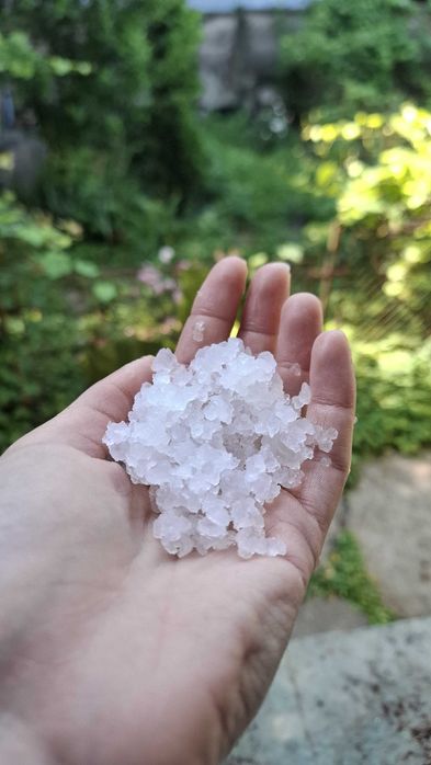 PACHET Kefir(Chefir) de apă , 50 grame+ Kefir de lapte 15 grame