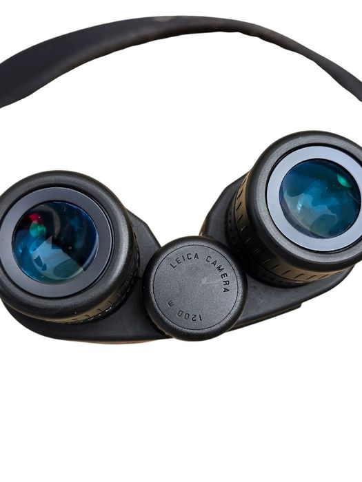 Binoclu Leica Geovid