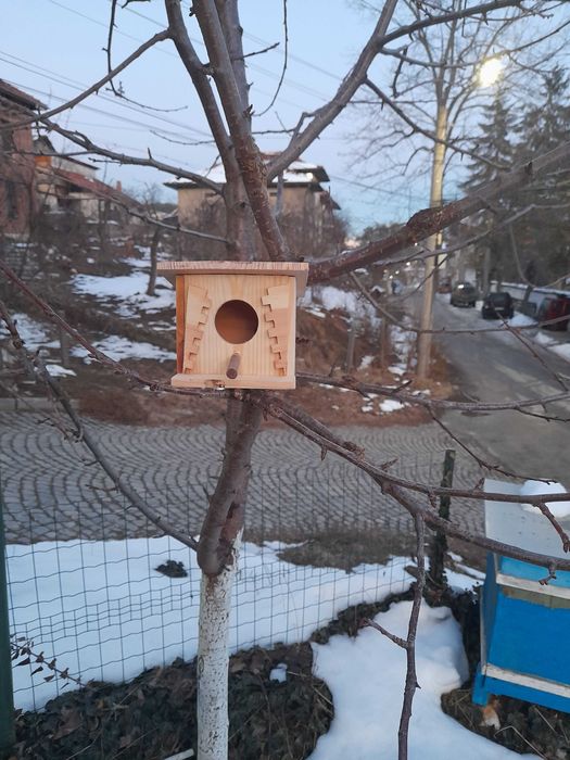 Дървени къщички, пчелно масло и пръчки за захарен памук.