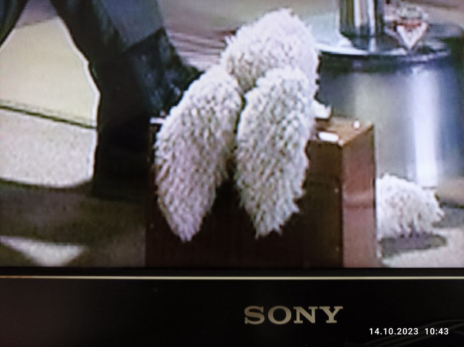 3-д телевизор Sony KDL-40HX800

Тип ЖК-телевизор
Светодиодна