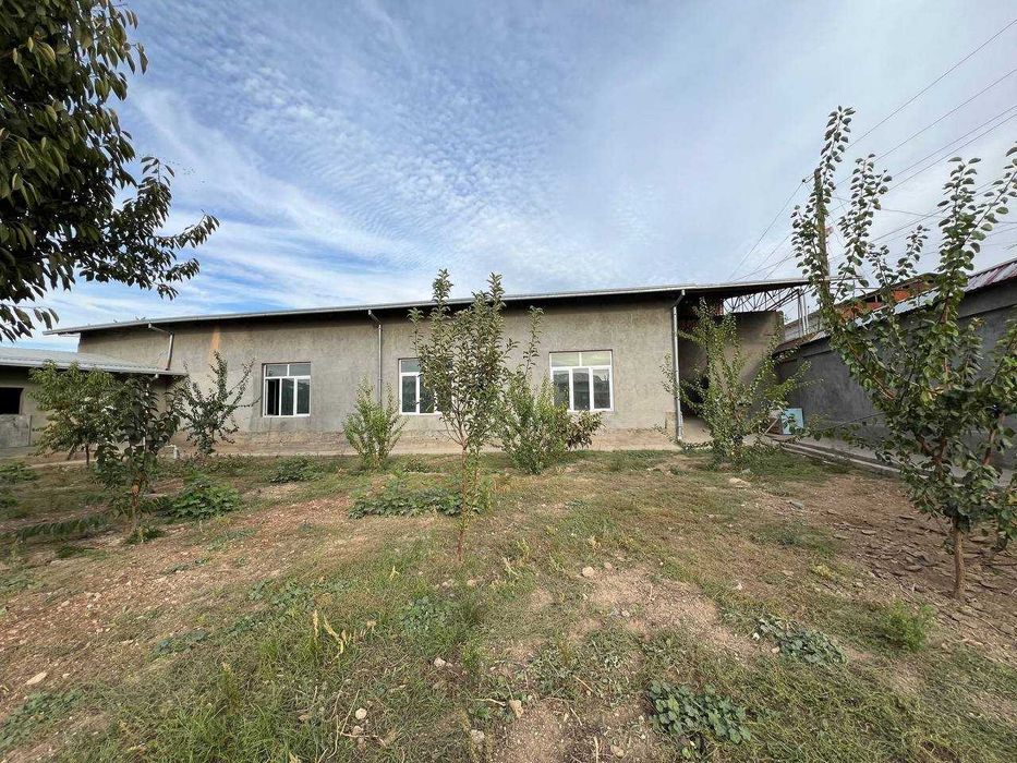 Arendaga joy 20 sotik