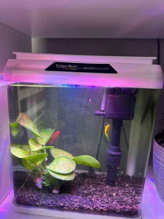 Vând acvariu german Kruger Meier de 7 litri.