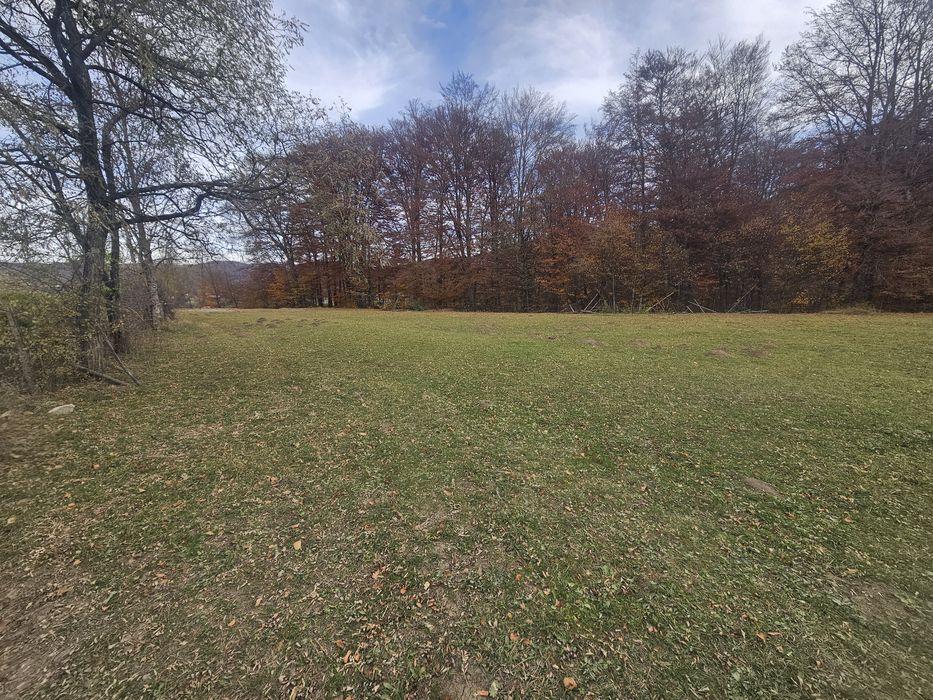 Teren  Valea Doftanei