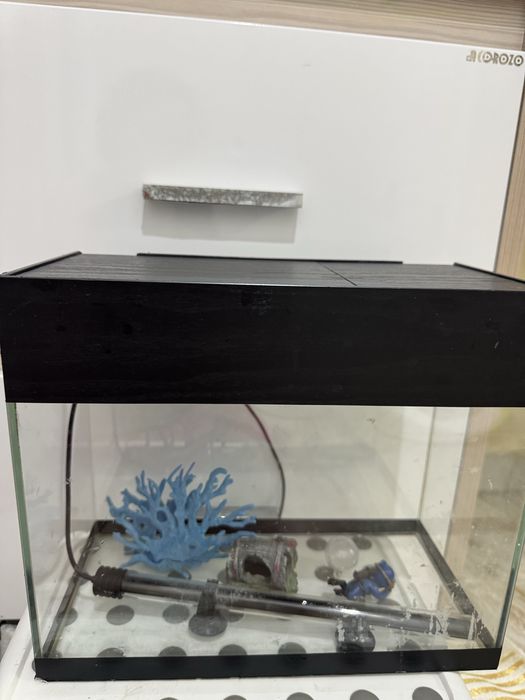 Продам аквариум с декором