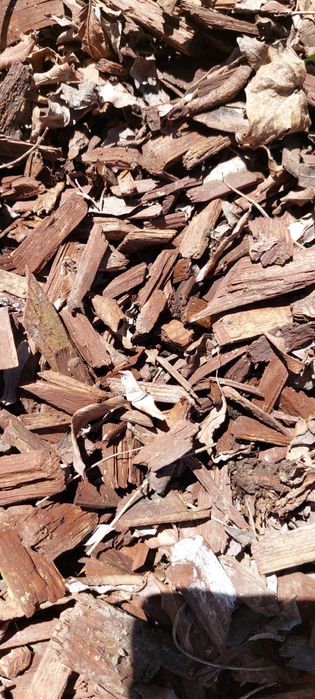 Mulci maro din lemn de brad - 50mp