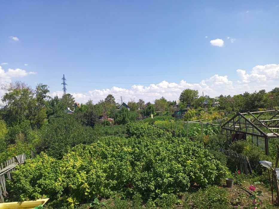 Продам дачу в обществе Черёмушки