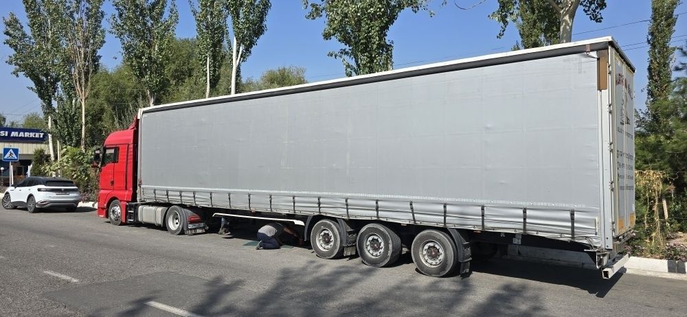 MAN tgx & wielton