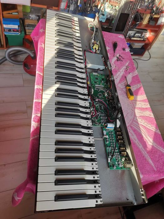 Estetizare, Igienizare Korg Pa